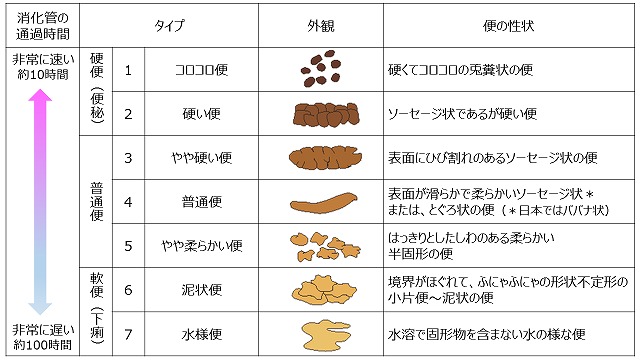 便の状態別に分類